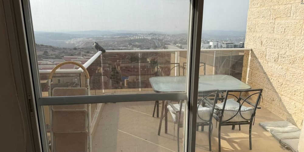 WhatsApp Image 2026-01-18 at 14.48.33 (2)